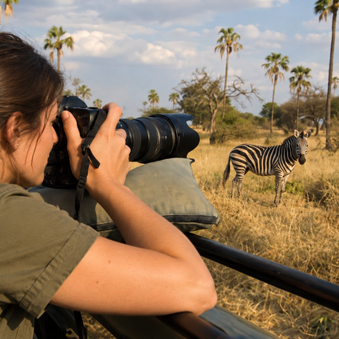 Korting Sunset Safari